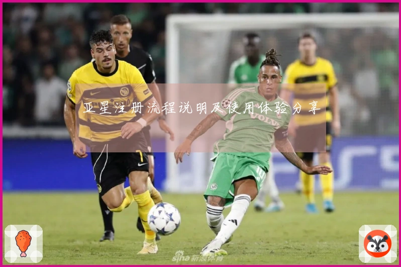 亚星注册流程说明及使用体验分享