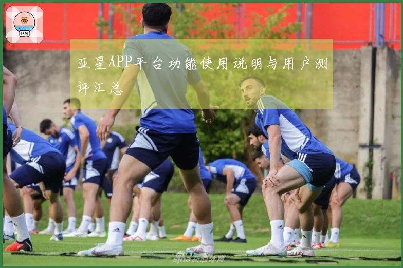 亚星APP平台功能使用说明与用户测评汇总